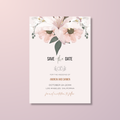 Blush Save The Date Invite