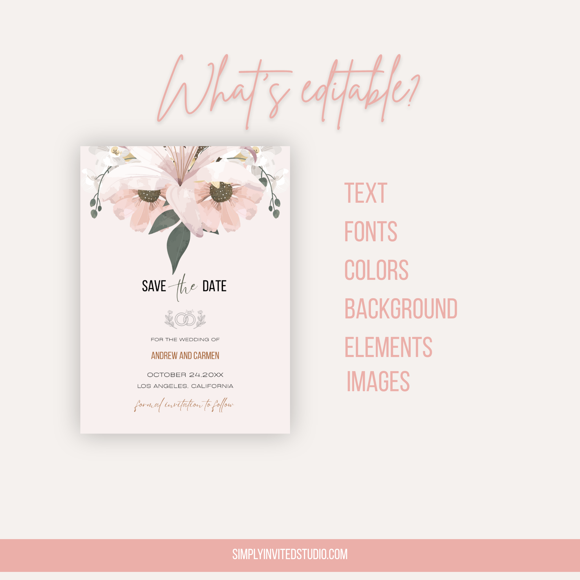 Blush Save The Date Invite