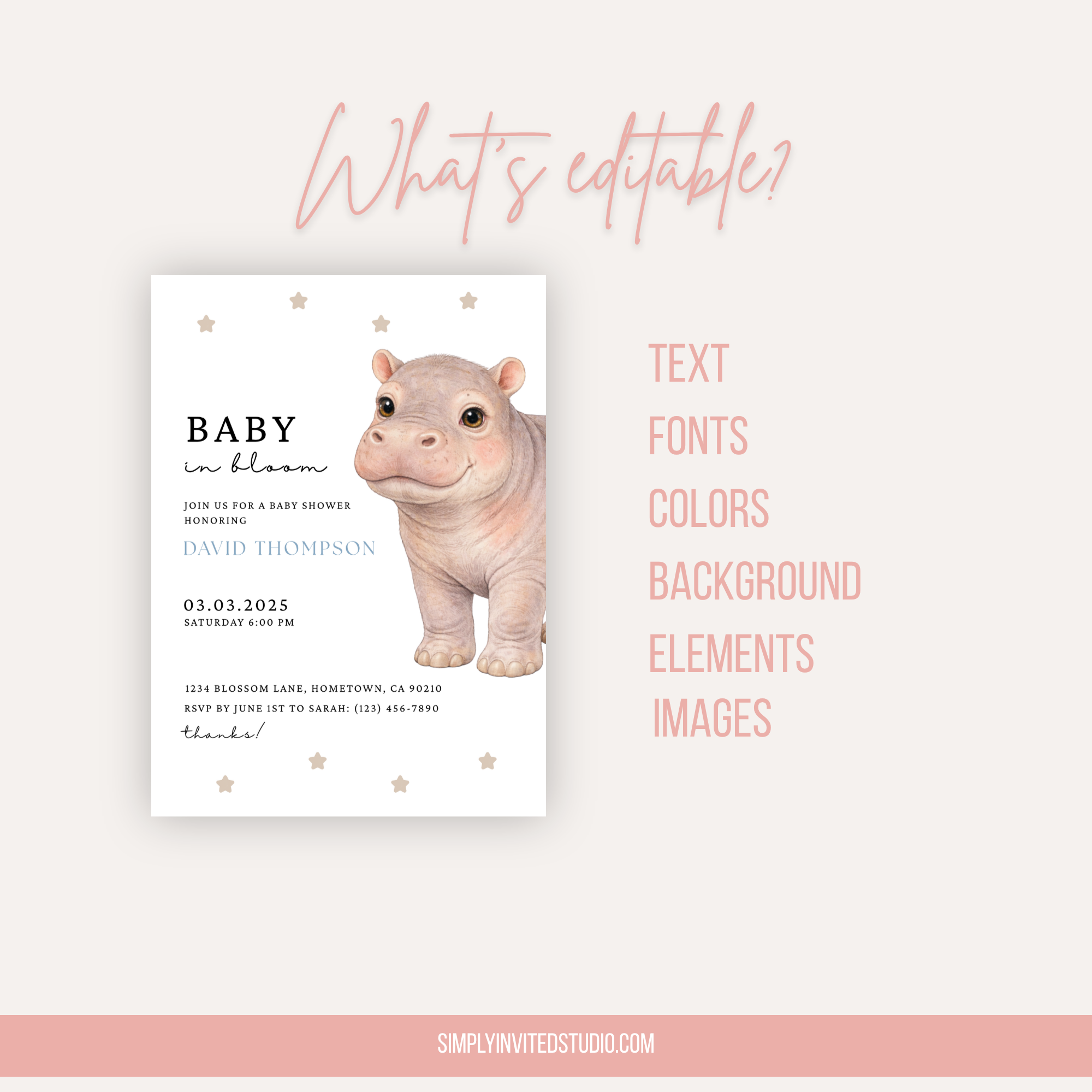 Hippo Baby Shower Invitation